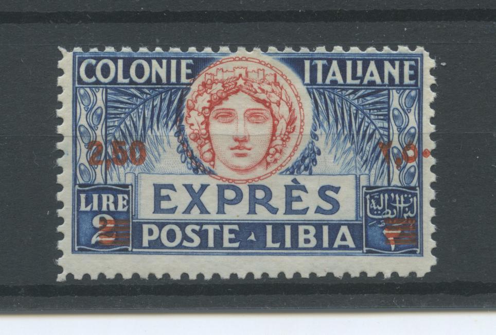 Scansione lotto: COLONIE LIBIA 1933 ESPRESSO N.13 3 **