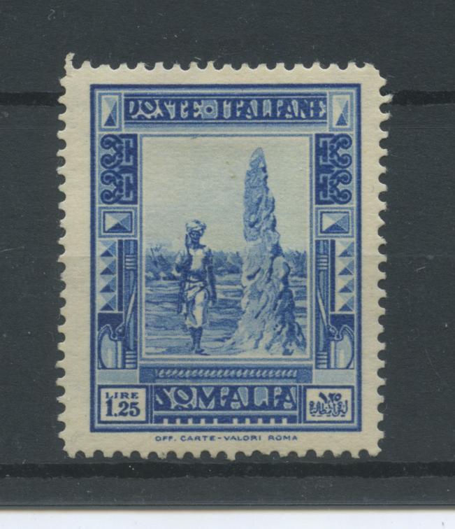 Scansione lotto: COLONIE SOMALIA 1935/8 PITTORICA L.1,25 *