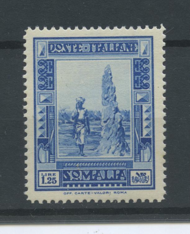 Scansione lotto: COLONIE SOMALIA 1935/8 PITTORICA L.1,25 * CENTRATO