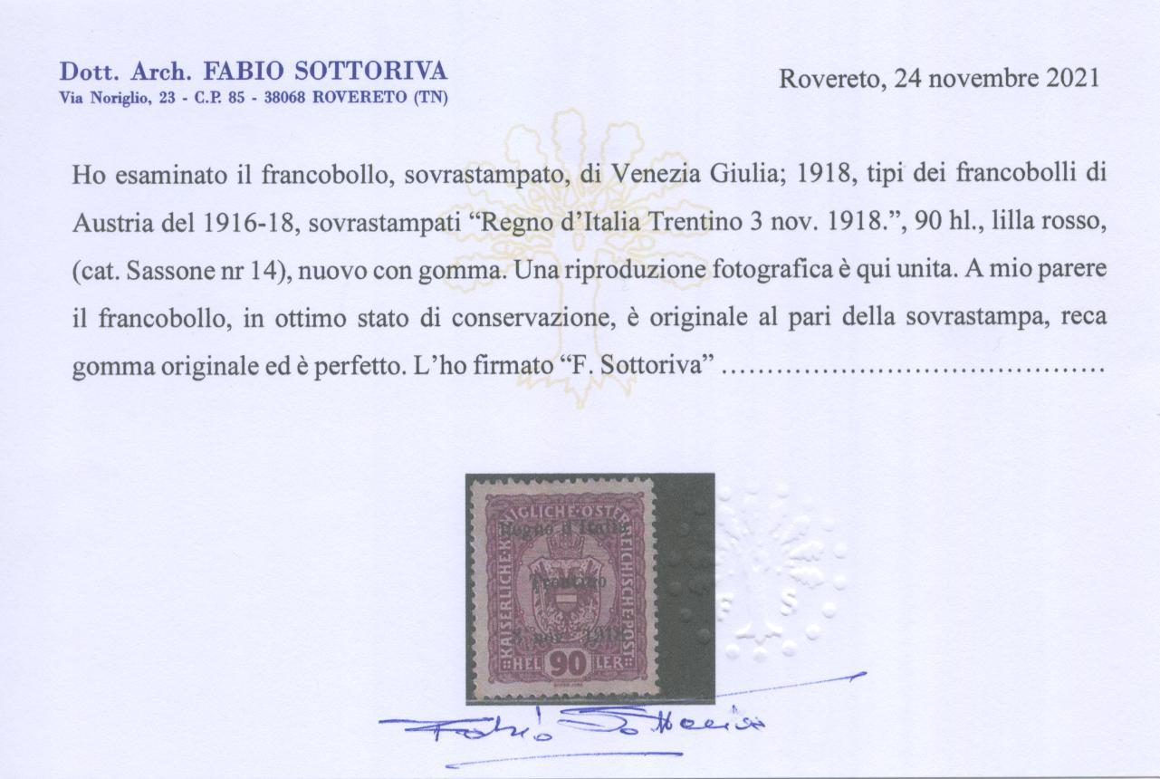 Scansione lotto: OCCUPAZIONI TRENTINO 1918 90H LILLA ROSSO *  CERT.